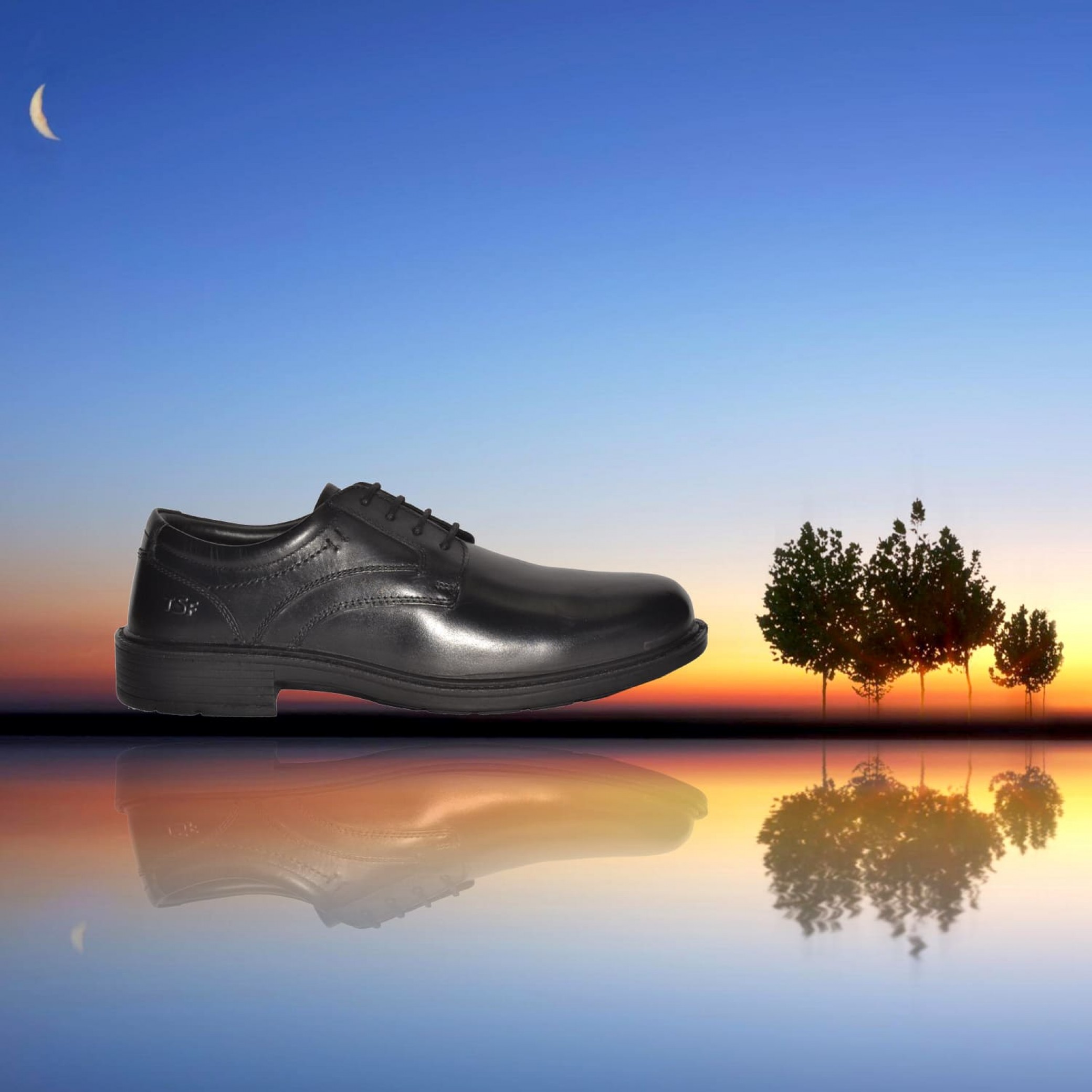 to TSF Shoes Genuine Leather Footwear Manufacturer in India